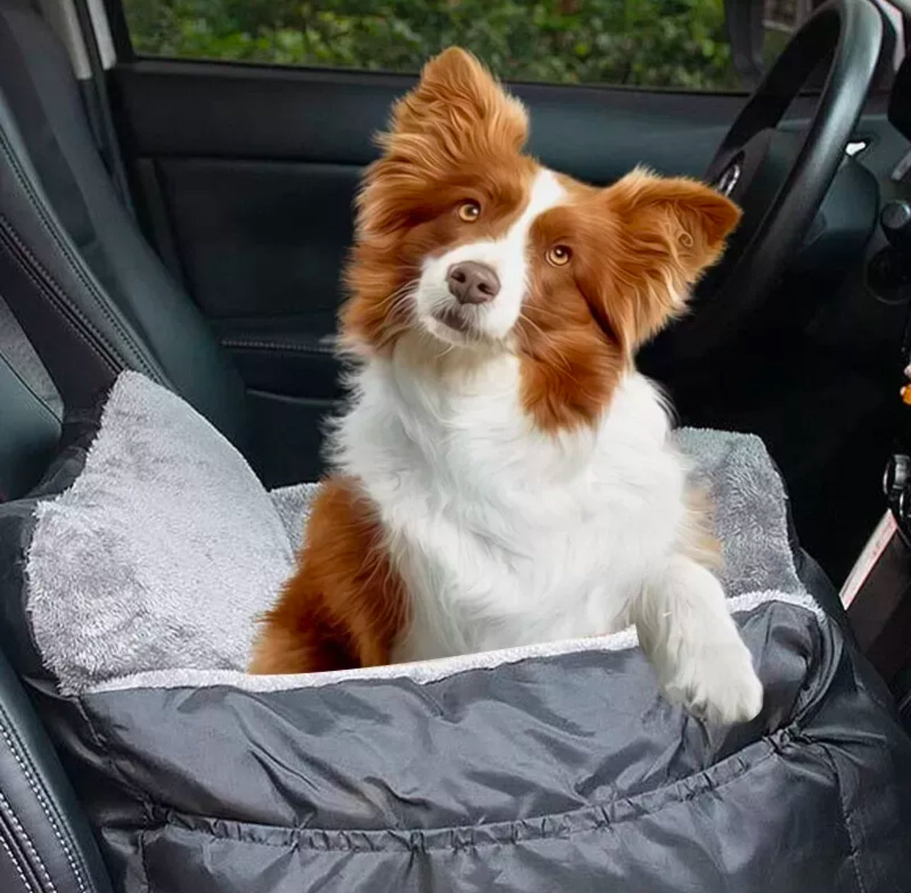 CozyRide™ Dog Car Bed and Booster Seat